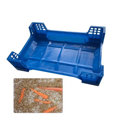 Insektavlskasser til melorm